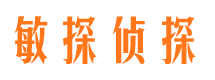 嵩县市私家侦探